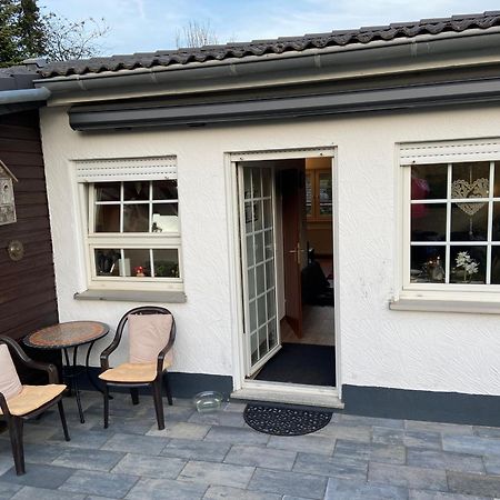 Ferienhaus Glueckspilz Beim Hennesee 메체데 외부 사진