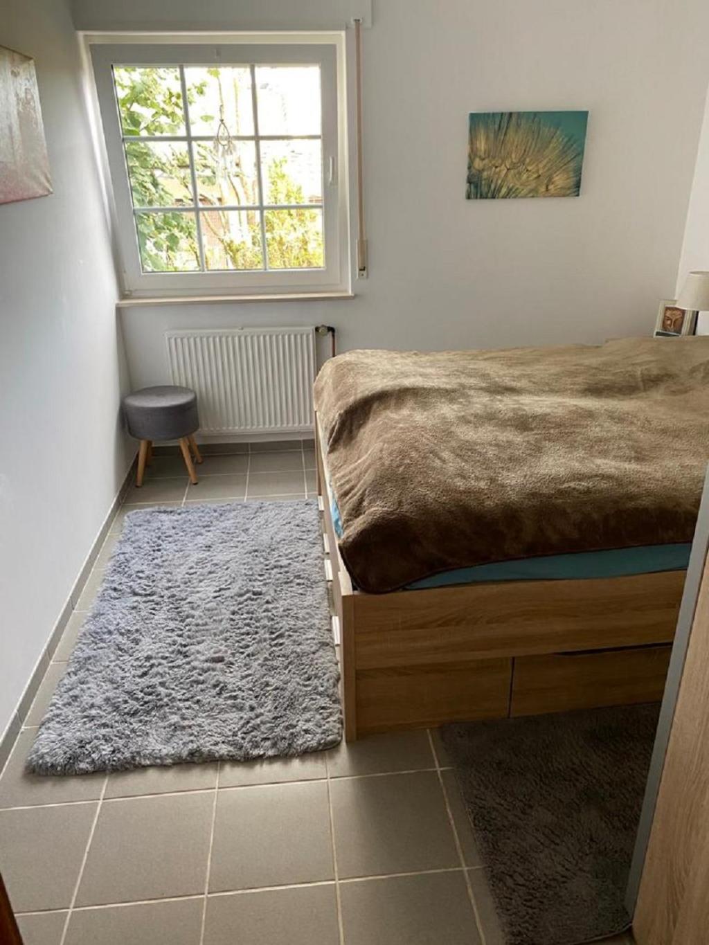 Ferienhaus Glueckspilz Beim Hennesee 메체데 외부 사진