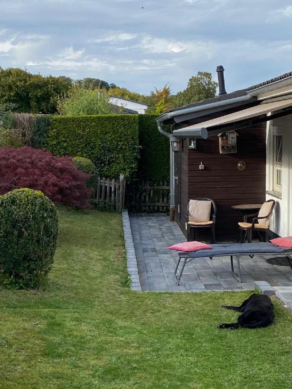 Ferienhaus Glueckspilz Beim Hennesee 메체데 외부 사진